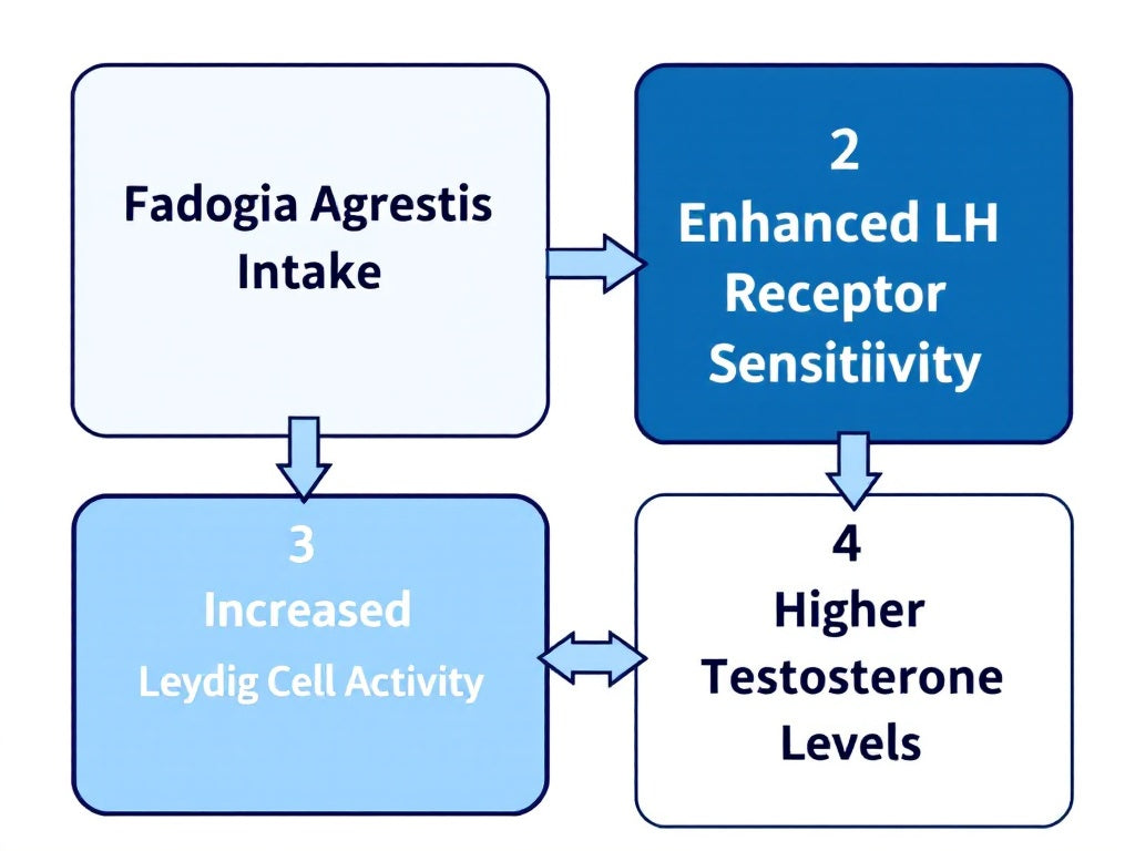 Fadogia Agrestis: A Natural Alternative for Testosterone Enhancement - A Personal and Professional Perspective