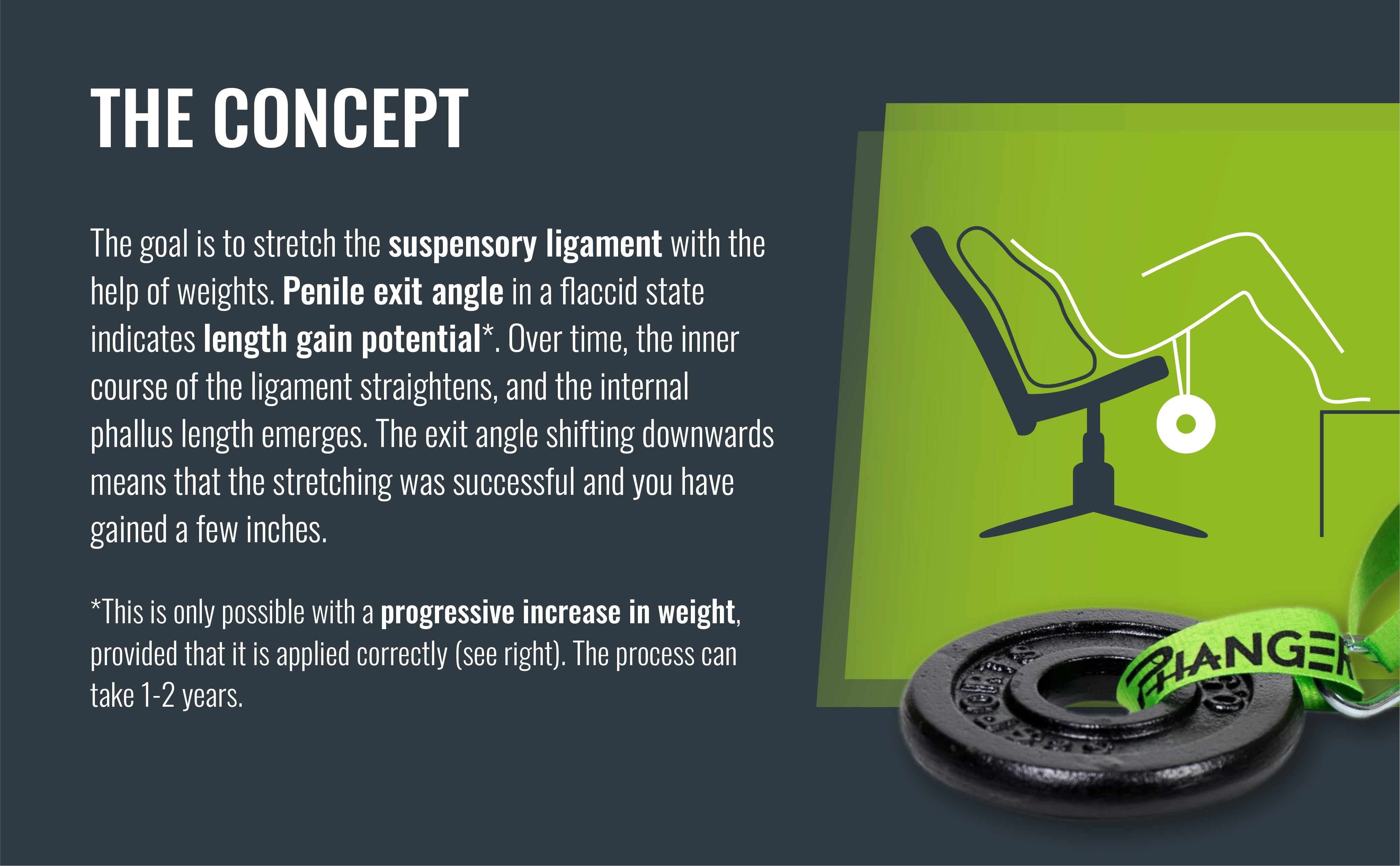INNOVATIVE PENIS ENLARGEMENT PRINCIPLE: The penile exit angle is an indicator of the potential for length gain. Over time, the ligament straightens and the angle of emergence shifts downward