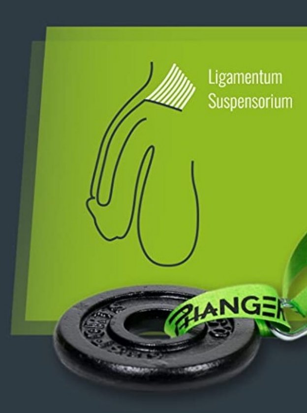 Ligamentum Suspensorium Stretching Technique with PHanger Device and Weights Diagram