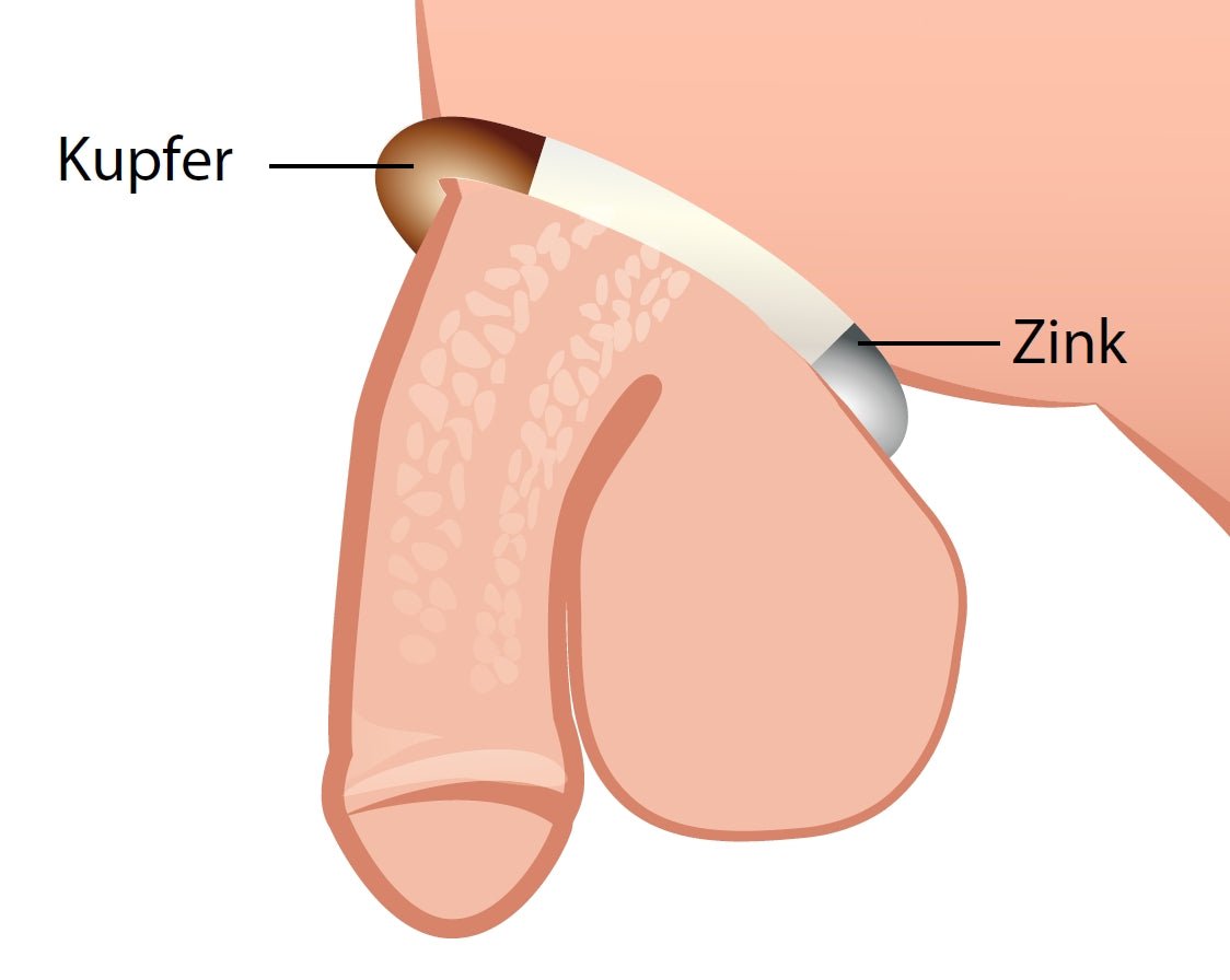 Magnetic Penisring 2.5 to increase bloodflow - P - Hanger